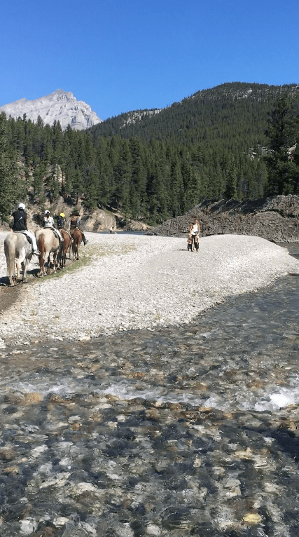 screen-shot-2016-09-25-at-22-14-21